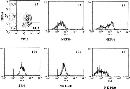 Fig. 2. Expression of various triggering receptors in cultured TAP2−/− NK cells. / NK cells from patient E.M.O. were cultured in the presence of IL-2 for 15 days and were analyzed by cytofluorometry. (upper panels) Expression of CD16 and NCRs (NKp46, NKp30, and NKp44). (lower panels) Expression of 2B4, NKG2-D, and NKp80. Cells were analyzed by double fluorescence for the expression of NKp46 in combination with CD16 or by single fluorescence for the expression of the other indicated molecules. Comparable results were obtained with NK cells from E.F.A.