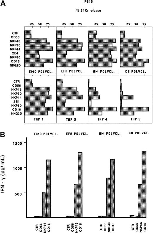Fig. 3. Cytolytic activity and IFN-γ production by TAP2−/− NK cells after stimulation with mAbs against triggering receptors. / (A) Effector cells were analyzed in a redirected killing assay against the FcγR+ P815 target cells in the absence (CTR) or in the presence of the following mAbs: BAB281 (IgG1, anti-NKp46); AZ20 (IgG1, anti-NKp30); Z231 (IgG1, anti-NKp44); PP35 (IgG1, anti-2B4); MA152 (IgG1, anti-NKp80); c127 (IgG1, anti-CD16); BAT221 (IgG1, anti-NKG2-D), and c218 (IgG1, anti-CD56). In this representative experiment, the polyclonal NK cell populations derived from the 2 patients (E.M.O. and E.F.A.) and 2 healthy donors (A.M. and C.B.) and 4 clones from E.M.O. (TAP1, TAP3, TAP4, TAP5) are shown (similar results could be obtained with E.F.A. clones). NK clones displayed the following phenotypes: TAP1 (NCRbright 2B4+NKp80+), TAP3 (NCRbright 2B4+NKp80+), TAP4 (NCRdull 2B4+NKp80+), TAP5 (NCRdull 2B4+NKp80dull). The E:T ratio used in this experiment was 4:1. (B) The same polyclonal NK cell populations were assessed for IFN-γ production either in the absence of stimulation (CTR) or after stimulation with each of the following mAb: c218 (IgG1, anti-CD56, 3μg/mL), BAB281 (IgG1, anti-NKp46, 3 μg/mL), c127 (IgG1, anti-CD16 0.5 μg/mL).
