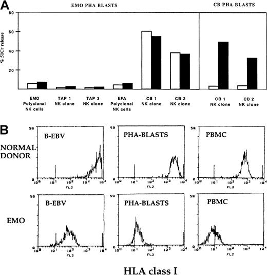 Fig. 5. TAP2−/− NK cells are unable to kill autologous PHA blasts. / (A) Polyclonal NK cell populations derived from E.M.O. or from E.F.A. and 2 clones from E.M.O. displaying the NCRbrightphenotype were assessed for cytolytic activity against E.M.O. PHA blasts either in the absence (white bars) or in the presence (black bars) of anti-HLA class I mAb. Controls were represented by 2 clones (CB1 and CB2) derived from a healthy donor that were analyzed against E.M.O. PHA blasts and against autologous PHA blasts (CB PHA blasts). The E:T ratio used in this representative experiment was 10:1. (B) HLA class I surface density on the indicated cell populations derived from E.M.O. and from a healthy control donor. The different cell types were stained with anti-HLA class I mAb (A6/136 IgM) and then were analyzed by cytofluorometry. HLA class I expression levels in cells derived from E.F.A. were comparable to those detected in E.M.O.