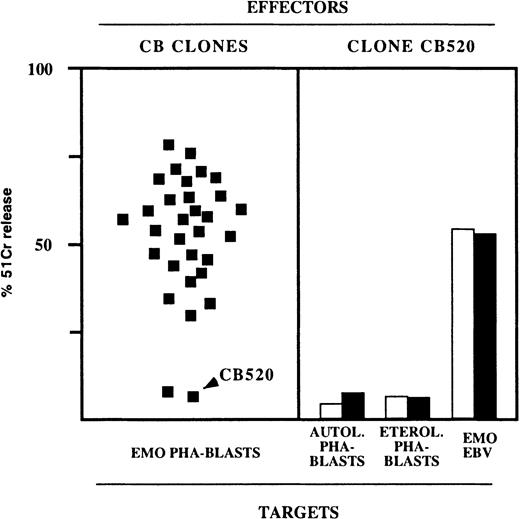 Fig. 7. Rare NK clones derived from healthy donors are unable to kill TAP2−/− PHA blasts. / (left panel) Representative experiment in which a large number of NK clones derived from a healthy donor (C.B.) were assessed for cytolytic activity against E.M.O. PHA blasts in the presence of anti-HLA class I mAb (each square represents the cytotoxicity of an individual clone). (right panel) NK clones displaying no cytolytic activity against E.M.O. PHA blasts were also unable to kill autologous or heterologous PHA blasts but killed B-EBV target cells. In this experiment, a representative clone (CB 520) was assessed for cytotoxicity against the indicated target in the absence (white bars) or in the presence (black bars) of anti-HLA class I mAb. The E:T ratio was 10:1 (PHA blasts) or 4:1 (B-EBV targets).