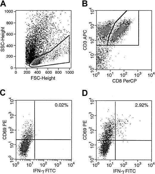 Fig. 1. Determination of intracellular IFN-γ–producing antigen-specific T cells by 4-color FACS analysis. / Donor T cells were stimulated with autologous or allogeneic EBV BLCL overnight for 16 hours. Nonstimulated control tubes contained effector cells and stimulators mixed immediately before staining. Stimulated and nonstimulated tubes were then prepared simultaneously. (A) Lymphocytes were identified and gated. (B) A second gate including the CD3+CD8+ T lymphocytes was set, and the CD69+IFN-γ+ cells of the nonstimulated and stimulated samples were determined. (C) Nonstimulated control with background activity of 0.02%. (D) Stimulated cultures with 2.92% of CD8+CD69+IFN-γ+ reduced by background.