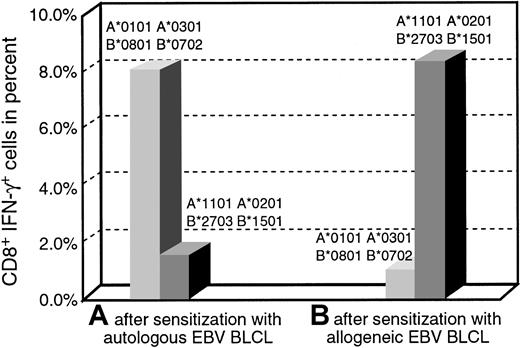 Fig. 2. Quantitation of CD8+IFN-γ+cells after sensitization with autologous or allogeneic EBV BLCL. / An EBV-specific and an alloreactive T-cell line of the same donor were generated, and the IFN-γ–producing CD8+ T cells in response to autologous or allogeneic BLCL were determined on day 12 of culture. Bars on the left illustrate the responses of T cells sensitized with autologous BLCL, and bars on the right illustrate the responses of T cells sensitized with allogeneic BLCL. Both T-cell lines predominantly produced IFN-γ specifically in response to their sensitizing BLCL.
