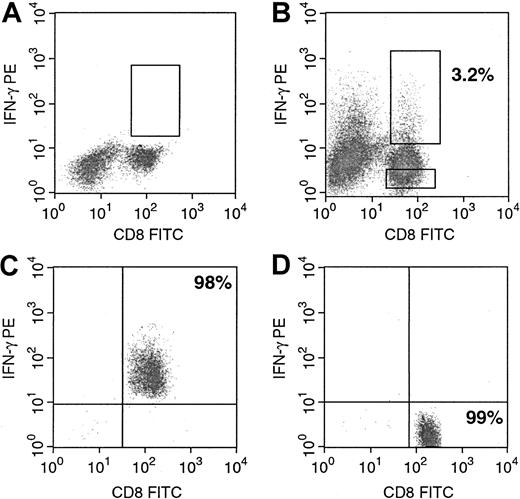 Fig. 7. Purification of viable IFN-γ–secreting CD8+ T cells by FACSort. / Cells were prepared and stained as described in “Materials and methods.” (A) Nonstimulated control cells. (B) CD8+IFN-γ+ and CD8+IFN-γ− cell subpopulations before sorting. (C) Purified CD8+IFN-γ+ and (D) purified CD8+IFN-γ− cell populations. Both subpopulations were separately used for subsequent cytotoxicity assays. CD4+IFN-γ+ and CD4+IFN-γ− cell subpopulations were purified accordingly.