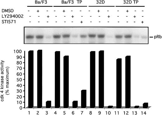 Fig. 5. Inhibition of PI3 kinase decreases cdk4 kinase activity. / Indicated cells were grown to subconfluence, harvested by centrifugation, and replated for 24 hours with either media alone, DMSO (0.1%), LY294002 (25 μM), or STI571 (1 μM). After incubation, cells were harvested and lysed. Lysates were immunoprecipitated with cdk4 antibody and cdk4-associated Rb kinase activity was assayed. Kinase reaction products were separated by SDS-PAGE. Gel was dried and visualized by autoradiography with the use of a Molecular Dynamics PhosphoImager. Visual display of results is shown in top of figure and quantitation of results is shown below.