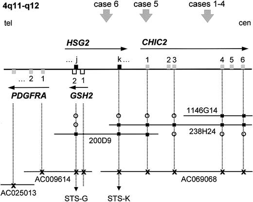 Fig. 1. PAC/BAC contig covering the. / CHIC2 locus at 4q11-q12 and localization of the different breakpoints of the t(4;12)(q11;p13). We previously reported the generation of a PAC contig (PACs 200D9, 238H24, and 1146G14) spanning the CHIC2 locus at 4q11-q12.23 Database searches identified several partially sequenced BAC clones containing the CHIC2 andGSH2 genes, which were aligned to the PAC contig (drawing not to scale). Using PCR and database searches, GSH2 and the 2 exons of HSG2 were located on this contig. The localization of the breakpoints of 6 t(4;12) cases is indicated by an arrowhead and numbered according to the cases as described in the text. Exons are represented by open or filled squares, and the transcriptional orientation is indicated by an arrow. The sequenced BAC clones are represented by their accession numbers. Tel indicates telomeric side; cen, centromeric side; open circle, negative by hybridization or PCR; filled square, positive by hybridization or PCR; x, positive by electronic PCR/database searches.