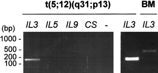 Fig. 6. Expression of. / IL-3 in the aCML case with a t(5;12)(q31;p13) (case 7). Expression of IL-3 but not of CSF2, IL-5, or IL-9 was detected in a bone marrow sample from the patient with aCML (case 7). By contrast, high-level expression of IL-3 could not be detected in control bone marrow cells (BM), indicating ectopic expression of IL-3 in the t(5;12) case. The faint band observed at 394 bp in control bone marrow is due to a genomic contamination of the RNA sample.