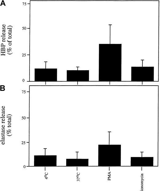 Fig. 7. Release of HBP and elastase from HL60 cells. / HL60 cells were incubated in the absence of a stimulus or in the presence of PMA (100 nM) or ionomycin (0.5 μM) for 30 minutes at 37°C. Cells were spun down, and the concentrations of HBP (A) and elastase (B) in the supernatants were determined by ELISA. Data represent the relative release of HBP and elastase (compared with the total amount of these proteins in lysates) and are the mean ± SD of 4 experiments, each performed in duplicate.