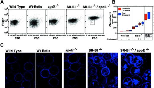 Fig. 3. Quantitation and localization of erythrocyte cholesterol in wild-type and mutant mice. / The cholesterol content of erythrocytes from wild-type, reticulocyte-enriched wild-type, apoE−/−, SR-BI−/−, andSR-BI−/−/apoE−/− mice was examined by 2 methods. First, cells were incubated with filipin, to allow fluorescent detection of cholesterol by flow cytometry (panel A) and confocal microscopy (panel C). (Note that in panel A the y-axis is logarithmic.) Second, cholesterol in erythrocyte lysates was measured directly by a biochemical method (panel B). The boxes show the range for 80% of the data points; the lines within the boxes show the median values; and the bars show outlying data points (if any). At the bottom of the plot, − indicates normal mouse chow diet, and + indicates 3 months on the high-cholesterol diet.