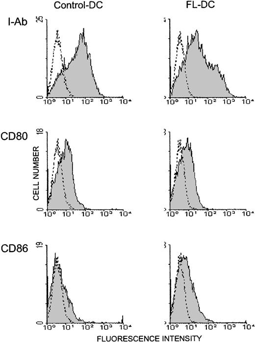 Fig. 2. Freshly isolated DCs in spleens from FL-treated mice show resting phenotype. / DCs were freshly isolated from spleens as in Figure 1, and 2-color flow cytometric analysis was performed. Gray histograms indicate Ag-specific antibodies; transparent histograms, isotype controls. Data are representative of 3 separate experiments.
