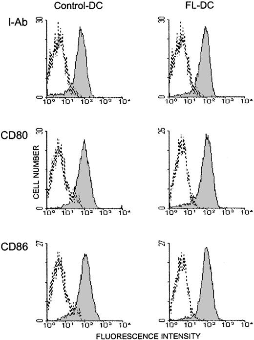 Fig. 4. Overnight culture activates DCs. / DCs were isolated from spleens after overnight culture, and 2-color flow cytometric analysis was performed. Data are representative of 2 experiments. Histogram shades are as in Figure 2.