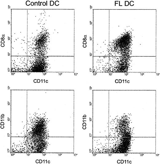 Fig. 7. Preferential expansion of CD8α+ DCs by FL treatment. / DCs were isolated from spleens and were stained with anti-CD11c–phycoerythrin and anti-CD8α-FITC or anti-CD11b-FITC, as described in “Materials and methods.” Results are representative of 5 replicate experiments.