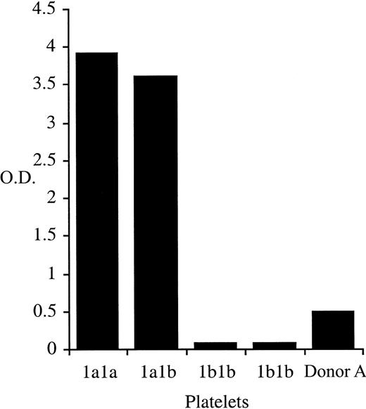 Fig. 1. Whole blood β3Leu33 phenotyping results for donor Donor A. / Whole blood samples were phenotyped for the presence of β3Leu33 as described. Samples obtained from Donor A repeatedly gave an HPA-1aweak phenotype. Control samples of 2 β3Pro33 homozygous (HPA-1b1b) and one each of β3Leu33Pro33 heterozygous (HPA-1a1b) and β3Leu33 homozygous (HPA-1a1a) were included in each assay.