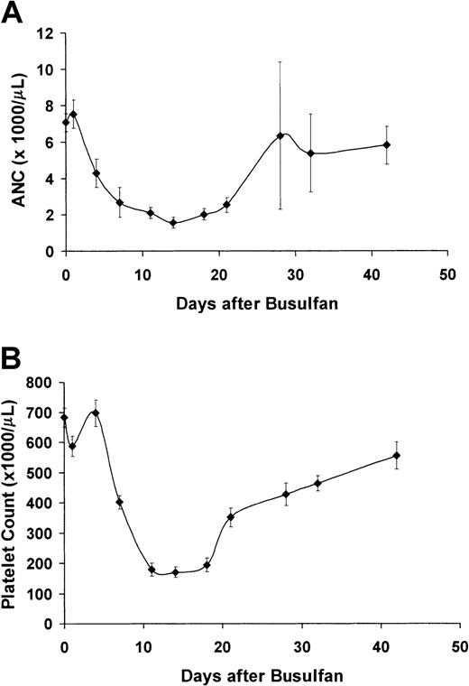 Fig. 1. Treatment with 20 mg/kg busulfan is nonmyeloablative in sickle mice. / (A) Average absolute neutrophil count (ANC, from automated complete blood count analysis) of 10 sickle mice treated with 20 mg/kg busulfan. (B) Platelet count (from automated complete blood count analysis) of 10 sickle mice treated with 20 mg/kg busulfan.