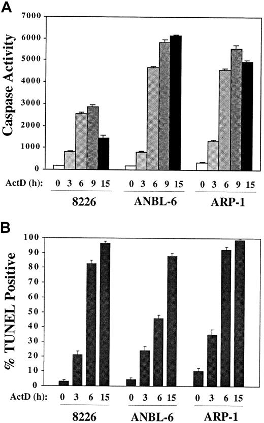 Fig. 1. Rapid induction of apoptosis by culture of MM cells in the presence of actinomycin D. / MM cell lines were cultured in RPMI/10% FBS plus IL-6 (1 ng/mL) and actinomycin D (1 μg/mL) for the times indicated. (A) Aliquots of cells were removed and protein extracts assayed for caspase activity by means of the fluorogenic substrate DEVD-AMC. (B) Cytospin preparations were prepared at the times indicated, and TUNEL assays were performed.