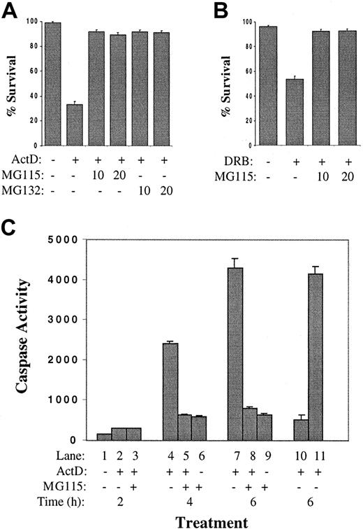Fig. 2. Proteasome inhibitors block actinomycin D–induced apoptosis of MM cell lines. / (A) The 8226 cells were cultured in complete medium plus IL-6 with or without the addition of actinomycin D (1 μg/mL). Indicated cultures were preincubated for 30 minutes with proteasome inhibitor MG115 or MG132 at 10 or 20 μM. After 6 hours, TUNEL assays were performed and the survival percentage was determined. (B) Cultures were prepared as in panel A, except that DRB (0.1 mM) was added instead of actinomycin D. (C) Actinomycin D–induced caspase activation is prevented by proteasome inhibitors. The 8226 cells were cultured in complete medium plus IL-6 with the addition of the proteasome inhibitor MG115 (10 μM) and /or actinomycin D, as indicated. Cells were cultured for 2 hours (lanes 1-3), 4 hours (lanes 4-6), or 6 hours (lanes 7-9), and caspase 3 activity was determined. In lane 10, an aliquot of protein extract from lane 7 was incubated with zVAD-fmk (25 μM final) immediately prior to caspase assay; caspase activity was inhibited as expected. In lane 11, MG115 (10 μM) was added to lane 7 extracts just prior to caspase assay to demonstrate that MG115 is not a direct inhibitor of caspase activity.