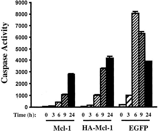 Fig. 7. Inhibition of caspase activation by Mcl-1 overexpression. / Pools of 8226 cells were expanded after infection with lentiviruses encoding Mcl-1, HA–Mcl-1, or EGFP. After culture in the presence of actinomycin D for the indicated times, cell extracts were prepared and caspase activity was determined.