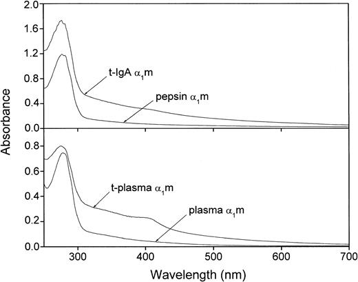Fig. 5. Absorbance spectrum of IgA-α1m and free plasma–α1m before and after cleavage with lysed erythrocytes. / Uncleaved IgA-α1m is represented by pepsin-α1m (eg, the α1m part of IgA-α1m). Approximately 20 μM solutions in PBS were used.