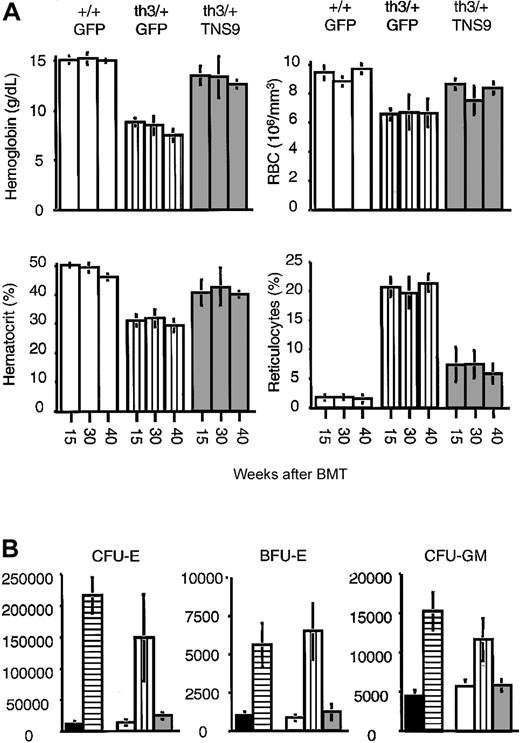 Fig. 2. Sustained amelioration of hematologic parameters in bone marrow chimeras reconstituted with TNS9-transduced Hbbth3/+bone marrow cells. / (A) Hemoglobin levels, hematocrit, RBC counts, and reticulocyte counts are shown at weeks 15, 30, and 40 after transplantation. All measured parameters show significant increases in recipients of TNS9-transduced Hbbth3/+ versus eGFP-transduced Hbbth3/+ bone marrow cells at week 40 after transplantation (P = .03 for each parameter). (B) Colony-forming assays were performed using spleen cells isolated from age-matched Hbb+/+ (black fill) and Hbbth3/+ mice (horizontal lines), along with cells from chimeras engrafted with eGFP-transduced Hbb+/+ (white fill), eGFP-transduced Hbbth3/+ (vertical lines), or TNS9-transuced Hbbth3/+ (gray fill) bone marrow cells. CFU-E, BFU-E, and CFU-GM colonies were analyzed 40 weeks after transplantation (TNS9-transduced Hbbth3/+ versus eGFP-transduced Hbbth3/+ CFU-E, BFU-E, and CFU-GM,P = .03).