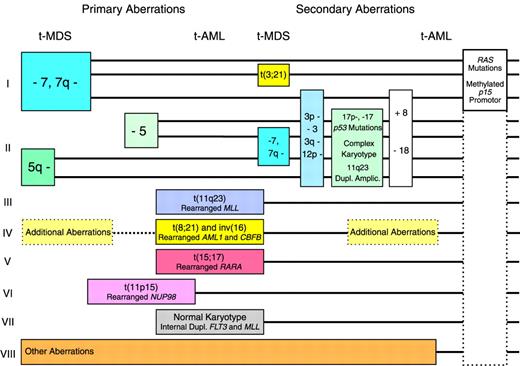 Fig. 1. Different genetic pathways in tMDS and tAML.