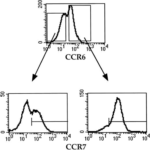 Fig. 2. CCR6 and CCR7 expression on memory B cells after 6-hour preculture in complete medium. / Memory B cells were double stained with anti-CCR6 and anti-CCR7 mAbs. The CCR7 expression by CCR6+ and CCR6− memory B cells is shown as histograms. The horizontal line indicates the negative threshold as determined by staining with an irrelevant isotype-matched Ab. The data shown are representative of 3 independent experiments.