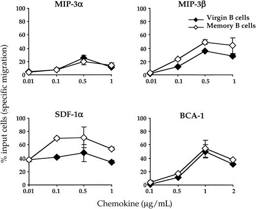 Fig. 3. Chemotactic response of virgin and memory B cells to lymphoid chemokines. / CD38− B cells were precultured for 6 hours in complete medium before being assessed for chemotaxis in response to MIP-3α, MIP-3β, SDF-1 α, and BCA-1 in the Transwell migration assay. Input and migrated B cells were stained with an anti-IgD Ab to calculate the percentage of virgin and memory B cells that migrated during the assay. The results are expressed as percent of input cells specifically migrating in response to the chemokines after subtraction of the percent of cells spontaneously migrating to complete medium containing no chemokine. The chemotactic response of virgin B cells and memory B cells is shown as open and solid diamonds, respectively. Results are expressed as mean ± SD of experimental duplicates. Representative of 3 independent experiments.