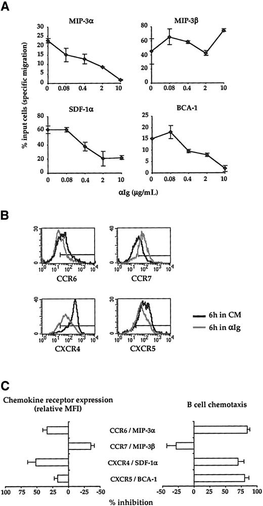 Fig. 4. Effect of BCR ligation on the B-cell chemotactic responses. / (A) CD38−B cells were preincubated for 6 hours with or without increasing doses of anti-Ig Abs (αIg) before being assessed for migration in Transwell plates. MIP-3α, MIP-3β, SDF-1α, and BCA-1 were used at 500 ng/mL, 500 ng/mL, 100 ng/mL, and 1 μg/mL, respectively. The data correspond to the percent of input cells that migrate specifically to each chemokine. Results are expressed as mean ± SD of experimental duplicates and are representative of 3 independent experiments. (B) Surface expression of CCR6, CCR7, CXCR4, and CXCR5 by CD38− B cells precultured for 6 hours with (grey line) or without (solid line) 10 μg/mL anti-Ig Abs. The horizontal line indicates the negative threshold as determined by staining with an irrelevant isotype-matched Ab. (C) The percent inhibition of both chemokine receptor expression and B-cell chemotaxis induced by anti-Ig Abs (10 μg/mL) was calculated as described in “Materials and methods.” The results correspond to the mean ± SD of the percent inhibition calculated on 3 independent experiments. CM indicates complete medium.