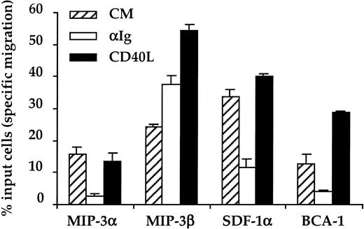 Fig. 5. Effect of CD40 ligation on the B-cell chemotactic response. / CD38− B cells were precultured for 6 hours in the absence (hatched bars) or in the presence of 10 μg/mL anti-Ig Abs (open bars) or CD40L (black bars) before performing the chemotaxis assay. The concentrations of chemokines used were the same as for Figure 4. Results correspond to the percent specific migration and are expressed as the mean ± SD of experimental duplicates. Representative of 3 separate experiments.