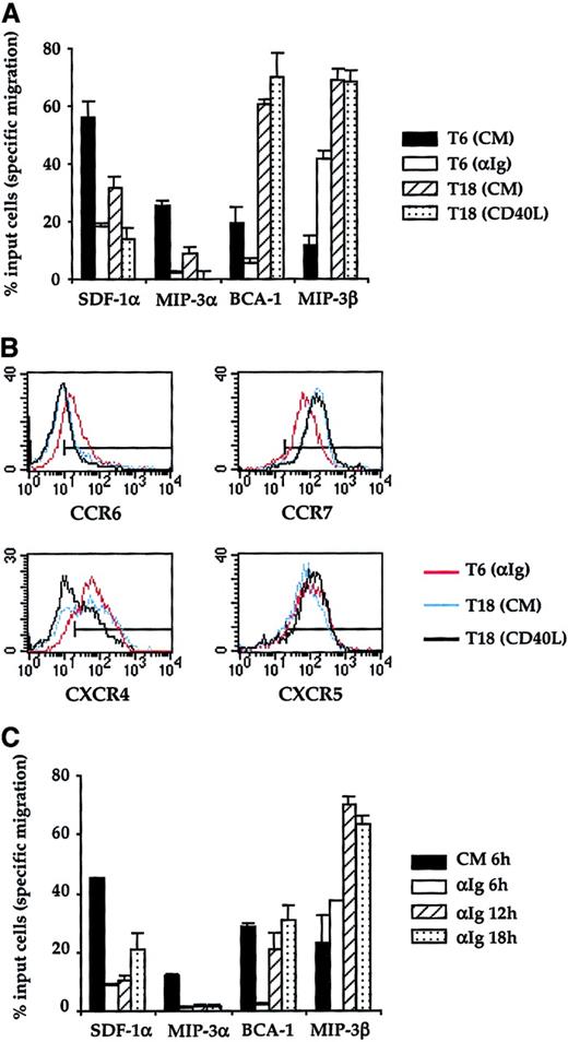 Fig. 6. A short pulse with surrogate Ag enhances responsiveness of B cells to MIP-3β and BCA-1. / (A) The chemotactic response of CD38− B cells was assessed at 2 time points: (1) at the end of a primary culture (T6) conducted with (white bars, T6 αIg) or without 10 μg/mL anti-Ig Abs (black bars, T6 CM) and (2) at the end of a secondary culture (T18) in which anti-Ig–pulsed B cells were cultured in the presence (gray bars, T18 CD40L) or absence of trimeric CD40L (hatched bars, T18 CM). The 4 chemokines were used at the same concentrations as for Figures 4 and 5. (B) Expression of CCR6, CCR7, CXCR4, and CXCR5 was analyzed after the primary culture with anti-Ig Abs (red line) and after the secondary cultures conducted with (black line) or without CD40L (blue line). The horizontal line indicates the negative threshold as determined by staining with an irrelevant isotype-matched Ab. (C) CD38−B cells were precultured for 6 hours in complete medium (white bars) or for 6 hours (black bars), 12 hours (hatched bars, αIg 12 hours), and 18 hours (gray bars, αIg 18 hours) with 10 μg/mL anti-Ig Abs before being analyzed for their chemotactic response to MIP-3α, MIP-3β, SDF-1α, and BCA-1. In panels A and C, the results are expressed as the mean ± SD of duplicate determinations. Representative of 1 experiment chosen among 3. CM indicates complete medium.