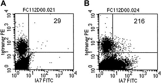 Fig. 7. LMP-2/HLA-A2 tetramer+ CTLs coexpress the 14.G2a-ζ chimeric receptor. / On day 14 after transduction, CTLs were stained with monoclonal antibody 1A7 and FITC-labeled goat antimouse antibody, then incubated with PE-labeled LMP-2/HLA-A2 tetramer, followed by staining with PerCP-labeled anti-CD8 antibody. One million events were acquired and analyzed. Indicated are the absolute numbers of events for tetramer-positive cells that express detectable levels of 14.G2a-ζ in a population of nontransduced CTLs (A) or 14.G2a-ζ–transduced CTLs (B).