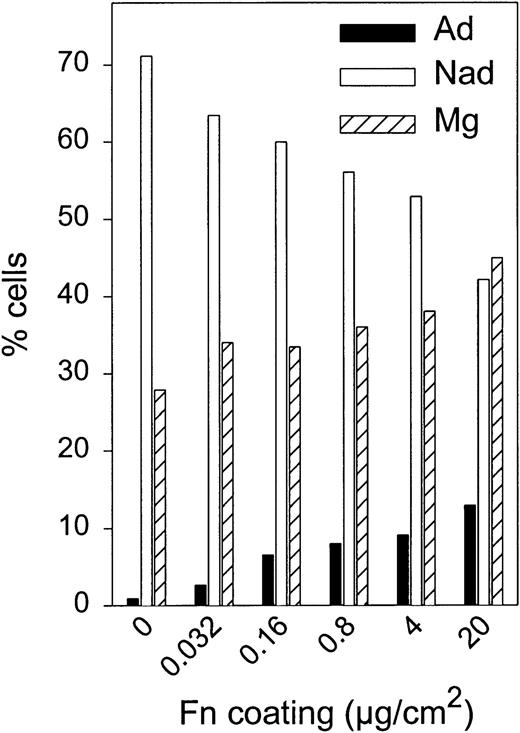 Fig. 3. Effect of Fn coating concentration on adhesion and migration of cultured CD34+ cells. / Transmigration of cultured CD34+ cells was determined toward MS-5 CM across filters coated at the indicated Fn concentrations. After 3 hours, cells were recovered in 3 fractions: migrating (Mg) as well as nonadherent (Nad) and adherent (Ad) nonmigrating cells. A representative experiment (of 2) is depicted.