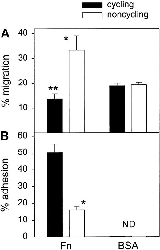 Fig. 6. Adhesion and migration of FACS-sorted cycling and noncycling CD34+ cells. / Cultured CD34+ cells were fractionated into noncycling (G0/G1) and cycling (S/G2/M) fractions by Hoechst sorting (n = 3). (A) Transmigration of cycling and noncycling cells toward MS-5 CM was determined across Fn- or BSA-coated filters. *Migration of noncycling cells was higher than that of cycling cells (P < .0.5); **migration of cycling cells across Fn was lower than across BSA (P < .0.5). (B) Both fractions were assayed for adhesion to Fn- or BSA-coated plates. *Fn binding of cycling cells was higher than that of noncycling cells (P < .05). ND indicates not detected.