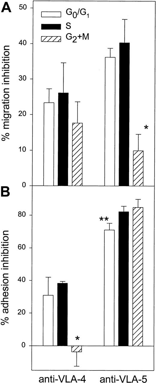 Fig. 8. Role of VLA-4 and VLA-5 in mediating adhesion and transmigration of CD34+ cells in different phases of the cell cycle. / (A) Migration of cultured CD34+ cells toward MS-5 CM was assayed in Fn-coated transwells during 3 hours, after which cell cycle status of nonmigrating and migrating cells was determined by PI staining. Prior to transmigration, cells were incubated with blocking antibodies against VLA-4 or VLA-5 integrins. Control cells were treated with isotype-matched control IgG. Percent inhibition of migration was calculated for cells in G0/G1, S, and G2/M (n = 5). *Inhibition by anti–VLA-5 was lower in G2/M cells compared with S or G0/G1cells (P < .05). (B) Adhesion of cultured CD34+ cells to Fn was measured after neutralization of VLA-4 or VLA-5 by blocking antibodies or incubation with control IgG. After 1-hour adhesion, the cell cycle status of adherent and nonadherent cells was determined by PI staining. Data represent the percent inhibition of Fn binding compared with control IgG in each phase of the cell cycle (n = 4). *Inhibition of Fn binding by anti–VLA-4 was lower in G2/M compared with S and G0/G1 cells (P < .05). **Inhibition of Fn binding by anti–VLA-5 was lower in G0/G1 compared with S and G2/M (P < .05).