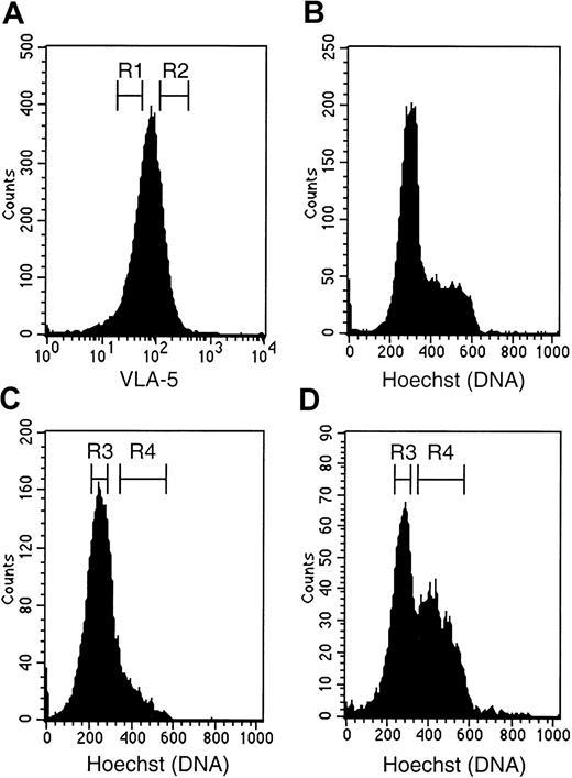 Fig. 9. Fractionation of cultured CD34+ cells on the basis of VLA-5 expression and cell cycle status. / Cultured CD34+ cells were simultaneously labeled with anti–VLA-5 and Hoechst 33342. (A) VLA-5 histogram showing gating of CD34+ VLAlow (R1) and VLA-5high(R2) cells. (B) DNA histogram of total CD34+ cells. (C) DNA histogram of CD34+VLA-5low cells. (D) DNA histogram of CD34+VLA-5high cells. In each of VLA-5low and VLA-5high subsets, noncycling (R3) and cycling (R4) CD34+ cells were sorted.