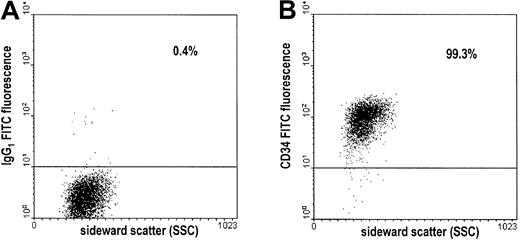 Fig. 1. Assessment of the purity of CD34+ cells by flow cytometry. / After double immunomagnetic selection of CD34+ cells, cells were stained with FITC-conjugated antibodies and subjected to flow cytometry. Results of a representative experiment are shown. (A) Dot plot of cells stained with the FITC-conjugated, isotype-identical control antibody (IgG1 FITC). (B) Dot plot of cells stained with the FITC-conjugated CD34 antibody (CD34 FITC). Percentages of cells above the threshold intensity are indicated in both plots.