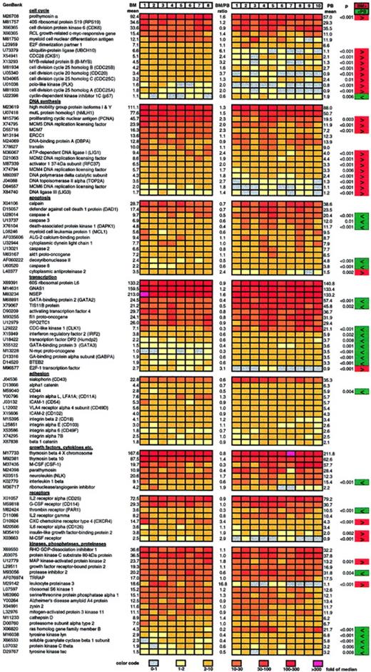 Fig. 2. Representative selection of highly or differentially expressed genes in bone marrow and circulating CD34+ cells. / Results of the gene expression analysis of 8 samples of BM-CD34+ cells (left) and 10 samples of PB-CD34+ cells (right) are displayed. Relative gene expression (normalized to median) is color coded. The color code can be found at the bottom of the figure. The mean of the 8 bone marrow–derived samples (BM mean), the mean of the 10 peripheral blood–derived samples (PB mean), and the ratio of those 2 mean values (BM/PB ratio) are indicated for each gene. Genes that are expressed at a significantly higher level in BM-CD34+ cells than in PB-CD34+ cells are marked in red. Genes with lower expression in BM-CD34+ cells are marked in green.P values resulting from the Mann-Whitney U test are also indicated for all significantly differentially expressed genes.