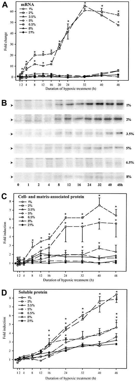 Fig. 1. Kinetics of hypoxia-induced PAI-1 mRNA and protein. / HepG2 cells were cultured at oxygen concentrations of 1%, 2%, 3.5%, 5%, 6.5%, 8%, and 21% for up to 48 hours. At the indicated intervals, RNA, protein, and medium were harvested. (A) Levels of PAI-1 mRNA were determined by real-time RT-PCR. The levels of PAI-1 mRNA were normalized to 18S rRNA within each sample and to the starting values, which were set to 1.0. Each graph represents the average of 2 separate experiments, each analyzed in duplicate on 2 separate occasions (n = 8). Error bars represent SEM; *P < .001 versus respective ambient controls. (B) For each oxygen tension one representative Western blot of PAI-1 is shown. Autoradiographic signals were obtained by chemiluminescence and detected in a multi-imager. (C) Quantitative measurements of the PAI-1 protein detected by the Western blots. The signals were normalized to the total amount of protein transferred to the membranes. Each of the graphs represents the average of 2 separate experiments, each analyzed in duplicate (n = 4). Error bars represent SEM; *P < .005 versus respective ambient controls. (D) Determination of soluble PAI-1 protein in the cell culture medium was performed by enzyme-linked immunosorbent assay. Each of the graphs represents values from 2 separate experiments, each determined in triplicate (n = 6). Error bars represent SEM; *P < .001 versus ambient controls.