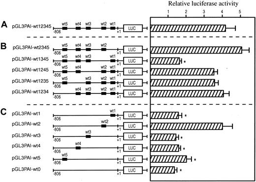 Fig. 3. Transcriptional activation of human PAI-1 promotor by hypoxia. / The transcriptional activation was measured by a luciferase reporter assay. HepG2 cells were transiently transfected with wild-type and mutated promotor constructs. For each construct wild-type HRE1-5 are indicated. The sequence of the mutations and HREs can be found in Table1. After transfection, the cells were cultured at either 21% or 1% oxygen for 24 hours before the assessment of luciferase activity. In each experiment, luciferase activity of cells cultured in hypoxia was determined relative to that of ambient control cells. Each experiment was performed in triplicate on at least 5 separate occasions. Error bars denote SEM; *P < .05 relative to pGL3PAI-wt12 345. (A) Enhancement of luciferase activity in wild-type promotor construct after incubation at 1% oxygen. (B) Effect of mutations of single HREs on the hypoxia-mediated induction. (C) Capacity of individual wild-type HREs to drive transcriptional expression from the PAI-1 promotor after hypoxic treatment.