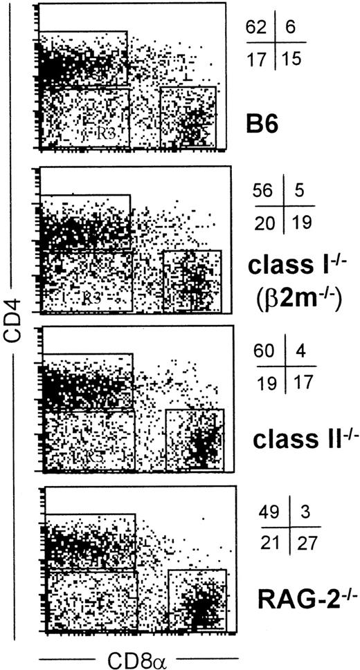 Fig. 2. Normal expression of CD4 and CD8 on DCs isolated from T cell–deficient mice. / Low-density spleen cells from the indicated strains of mice were labeled for CD11c, CD4, and CD8α as in Figure 1 and the percent and positions of the 3 DC major subsets defined by CD4 and CD8α are indicated by quadrants. Only CD11c+ events, also gated by forward/side scatter are shown.