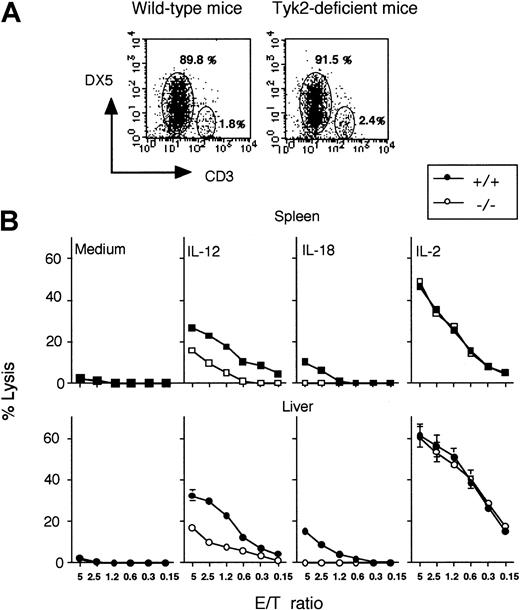 Fig. 2. Requirement of tyk2 for up-regulation of NK lytic activity by IL-12 or IL-18. / Spleen cells or hepatic lymphocytes from wild-type or tyk2-deficient mice were incubated with IL-15 for 10 days. CD3−DX5+ NK cells were isolated by MACS. The expressions of CD3 and DX5 were determined by flow cytometry (A). CD3−DX5+ NK cells were incubated with IL-12 (2 ng/mL), IL-18 (20 ng/mL), or IL-2 (500 U/mL) for 24 hours, and their cytotoxicity against YAC-1 was determined (B).