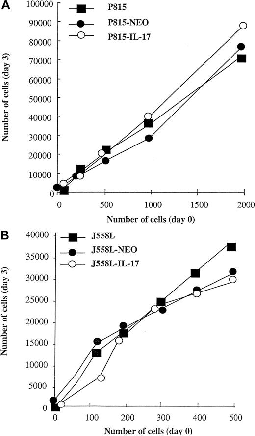 Fig. 2. In vitro proliferation of parental, mock-transfected, and IL-17–transfected P815 and J558L cells. / Wild-type, mock-transfected (NT-Neo), or IL-17–transfected P815 (A) or J558L (B) cells were plated on 96-well flat-bottomed plates at a density ranging from 102 to 2 × 103 cells per well. The cells were cultured for 3 days, and their proliferation was determined by MTT assay. For these experiments, all cells were cultured in the same medium without G418 or neomycin. For each cell line, a standard curve between the absorbance in the MTT test and the number of cells was determined. Values are mean results from triplicate cultures and are representative of 3 experiments.