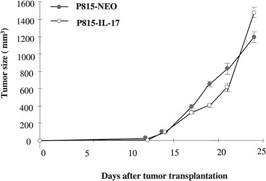 Fig. 5. IL-17 does not inhibit growth of the P815 mastocytoma in nude mice. / P815 cells transfected with cDNA encoding murine IL-17 (P815–IL-17) or with NT plasmid alone (Neo) were injected into nude mice by subdermal inoculation of 1.5 × 106 cells. Eight mice per group were used in each experiment, and tumor size was assessed. Results are representative of 2 independent experiments.