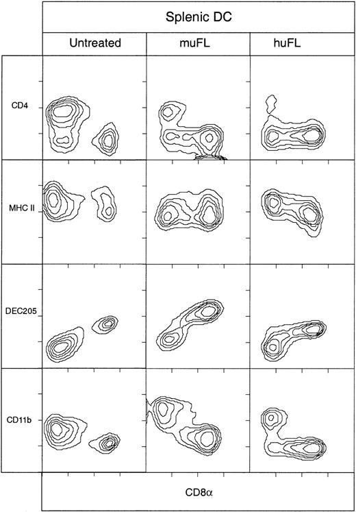 Fig. 3. Surface phenotype of splenic DCs from mice treated with FL. / DCs isolated from spleens of C57BL/6 mice that were either untreated or treated for 10 days with muFL or huFL (10 μg/day) were immunofluorescence stained with antibodies directed to typical murine DC markers. The DCs were analyzed by gating on high forward light scatter and high levels of expression of CD11c. The data are representative of more than 5 experiments that all examined pooled splenic DCs from at least 3 mice.
