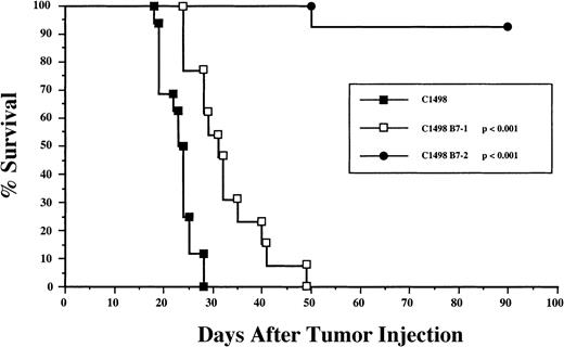 Fig. 2. C1498/B7-2, but not C1498 or C1498/B7-1, induced effective tumor rejection in vivo. / Individual C57BL/6 mice were injected subcutaneously with 1 × 106 live C1498 (n = 16), C1498/B7-1 (n = 13), or C1498/B7-2 (n = 13) tumor cells into the suprascapular region. Survival curves represent the combined results of 4 separate experiments in which all groups were included. Mice that did not die with tumor were killed when the tumor mass was larger than 200 mm2. The lone death on day 50 in the C1498/B7-2 group was not caused by tumor growth. P values represent statistical significance with respect to the C1498-injected group (log-rank test).