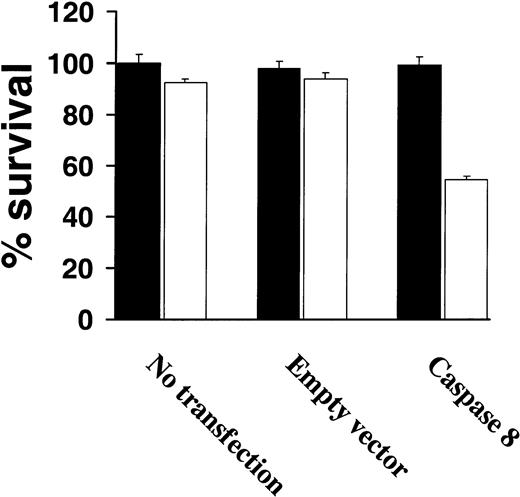 Fig. 6. Increased procaspase-8 expression sensitizes TRAIL-resistant myeloma cells to TRAIL. / Cell survival of highly TRAIL-resistant IM-9 cells that were either untransfected or transfected with an empty vector or a procaspase-8 complementary DNA (cDNA)–containing vector, were treated with or without TRAIL (white bars) or vehicle (black bars) for 18 hours and assessed for survival using the MTT assay. Bars represent mean ± SD values.
