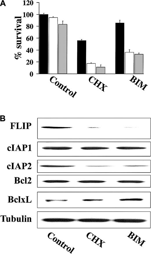 Fig. 7. CHX and BIM down-regulate FLIP and cIAP2 expression and overcome TRAIL resistance. / (A) Cell survival of IM-9 cells pretreated with CHX (0.1 μg/mL) or BIM (20 μM) for 6 hours and then treated with 0 ng/mL (black bars), 100 ng/mL (white bars), or 200 ng/mL (gray bars) TRAIL for an additional 18 hours. Cell survival was determined using the MTT colorimetric assay. Bars represent mean ± SD values. (B) Immunoblotting for FLIP, cIAP1, cIAP2, Bcl-2, and Bcl-xL of cell lysates from IM-9 cells treated with CHX (0.1 μg/mL) or BIM (20 μM) for 6 hours. Levels of tubulin are shown for confirmation of equal loading.