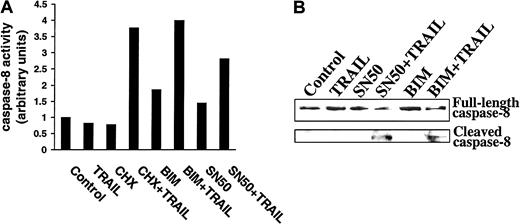 Fig. 11. Demonstration of caspase-8 activation in TRAIL-resistant myeloma cells preincubated with CHX, BIM, or SN50 before TRAIL treatment. / (A) Caspase-8 activity was determined by use of the ApoAlert caspase-8 colorimetric kit in highly TRAIL-resistant IM-9 cells that were incubated with CHX (0.1 μg/mL), BIM (20 μM), or SN50 (30 μg/mL) for 6 hours before treatment with TRAIL (300 ng/mL) for 30 minutes. (B) Immunoblot analysis for caspase-8 cleavage in IM-9 cells preincubated with BIM (20 μM) or SN50 (30 μg/mL) for 6 hours before treatment with TRAIL (300 ng/mL) for 1 hour.