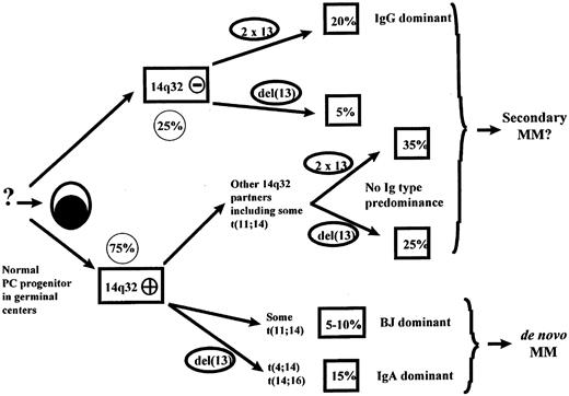 Fig. 1. Model for myeloma oncogenesis.