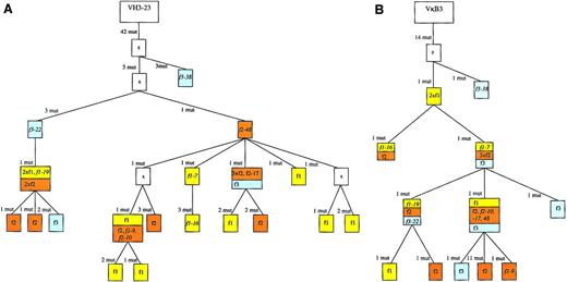 Fig. 2. Genealogical trees for the VH and VL rearrangements of case 1 to analyze the clonal relationship among the individual cells of the 3 different follicles. / Genealogical trees are based on multiple sequence alignments obtained with the MacVector software 7.0 (Accelrys). “z” denotes the presumed precursers. Assumed intermediates are included in the genealogical tree and marked as “x.” When a branch in the tree is defined by more than one mutation, it may well be that they occurred in separate steps. However, this would not change the basic structure of the tree and the relationship of the distinct cells identified. Cells from the same follicle are marked with a follicle-specific color: follicle 1, yellow; follicle 2, orange; and follicle 3, blue. There were 9 cells with a VH as well as a Vκ gene amplificate (the names of these cells are given in the trees). We made some corrections of the VH tree generated by the MacVector software 7.0: at 2 positions the software regarded different point mutations habored by all cells at the same position of the sequences as a shared mutation (97 C to A or 97 C to G, 277 C to A or 277 C to G; see sequences available from the EMBL data library). As these were clearly distinct mutation events, the tree was accordingly corrected, including introduction of one backmutation into 2 VHsequences at position 97 (the most right branch with 2 f1 cells). There were 2 point mutations shared by 2 sequences that were regarded as independent mutation events; importantly, the number of mutation events remained the same with this modification. The branch with f2-9 and f2-10 could also originate from f3-22, but to aquire congruence with the Vκ tree origination from f2-48 with the same number of mutations was assumed. Additional details are available from the authors upon request. f1 indicates follicle 1; f2, follicle 2; f3, follicle 3; mut, mutation.
