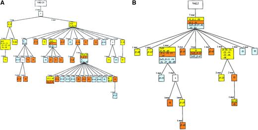 Fig. 3. Genealogical trees for the VH and the Vκ rearrangements of case 2. / There were 38 cells with a VH as well as a Vκgene amplificate (the names of the cells are given in the tree). For the VH tree we made one correction of the tree generated by the software: one point mutation (71 C; see sequences available from the EMBL data library) was regarded as a shared mutation, although a group of cells had no mutation at this position. Consequently, we included 71 C as a mutation event in the construction of the genealogical tree. For the Vκ tree we made some modifications of the MacVector trees to aquire congruence of heavy and light chain genes: we observed a point mutation shared by 21 sequences incompatible regarding the construction of the VH- and Vκ-based trees (see the 3 branches with f3-47, f1-21, and the branch with the assumed intermediate originating from f1-39). Therefore, it was assumed that this mutation happened 3 times independently. F3-22 was assumed to originate from f1-39, although the software-generated tree suggested another position. Importantly, the number of mutation events remained the same for this modification. For f1-27, f1-35, and f2-48, one backmutation was introduced in each of the Vκ sequences. See Figure 2 for additional explanations.