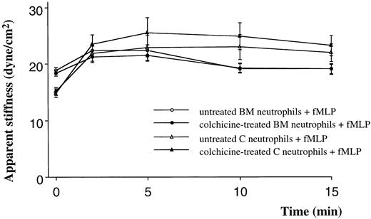 Fig. 2. The effect of pretreatment with colchicine on the apparent stiffness of quiescent neutrophils or neutrophils stimulated with fMLP. / Pretreatment of neutrophils with colchicine (50 μM) did not alter the apparent stiffness of quiescent neutrophils isolated from either the BM or the circulating blood. Colchicine also did not prevent the increase in stiffness induced by fMLP. n = 5 rats in each group. BM indicates bone marrow; C, circulating.